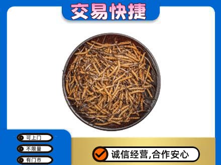 常德回收散虫草
