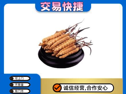 常德礼品回收散虫草.jpg